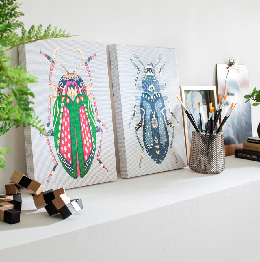 Cuadros decorativos con insectos de colores