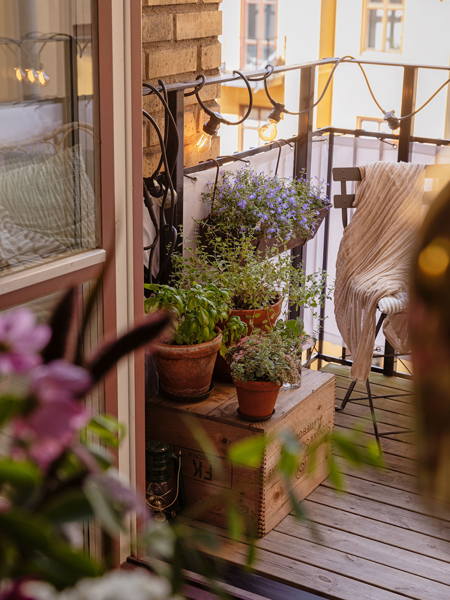 Varios maceteros y plantas en un balcón.