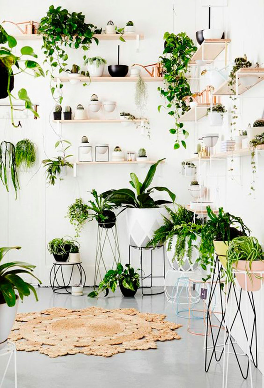 interpretamos 4 espacios Pinterest indoor garden